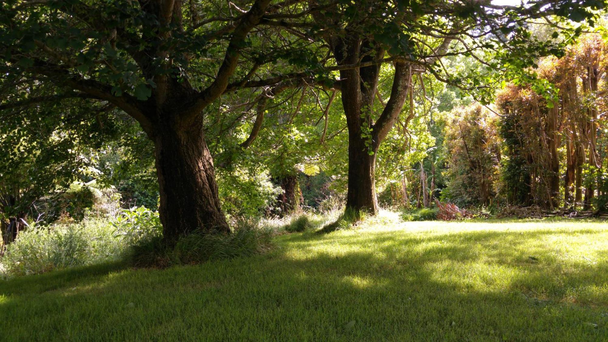 Purple Hen Country Lodge Katikati Bagian luar foto