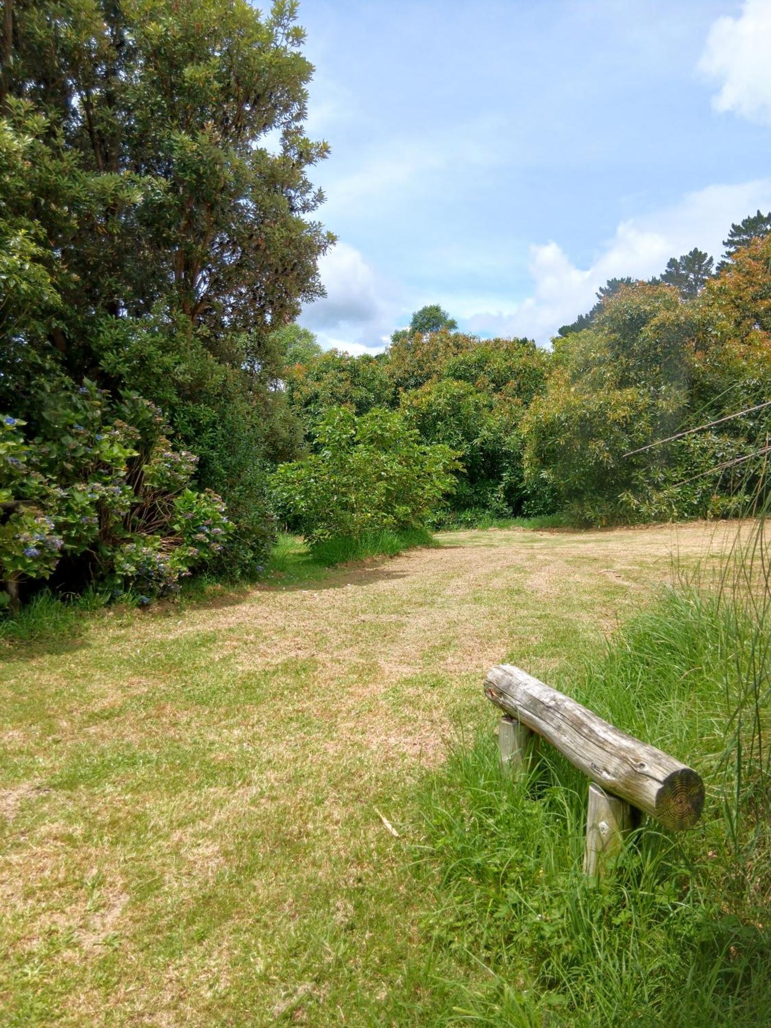 Purple Hen Country Lodge Katikati Bagian luar foto