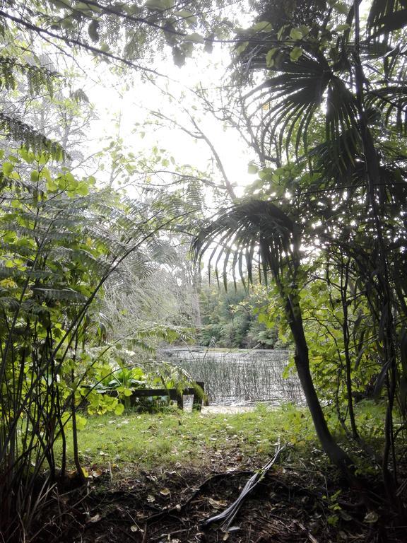 Purple Hen Country Lodge Katikati Bagian luar foto