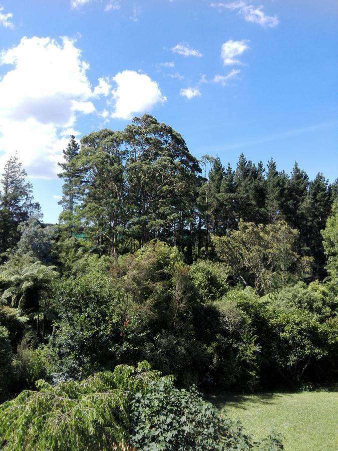 Purple Hen Country Lodge Katikati Bagian luar foto