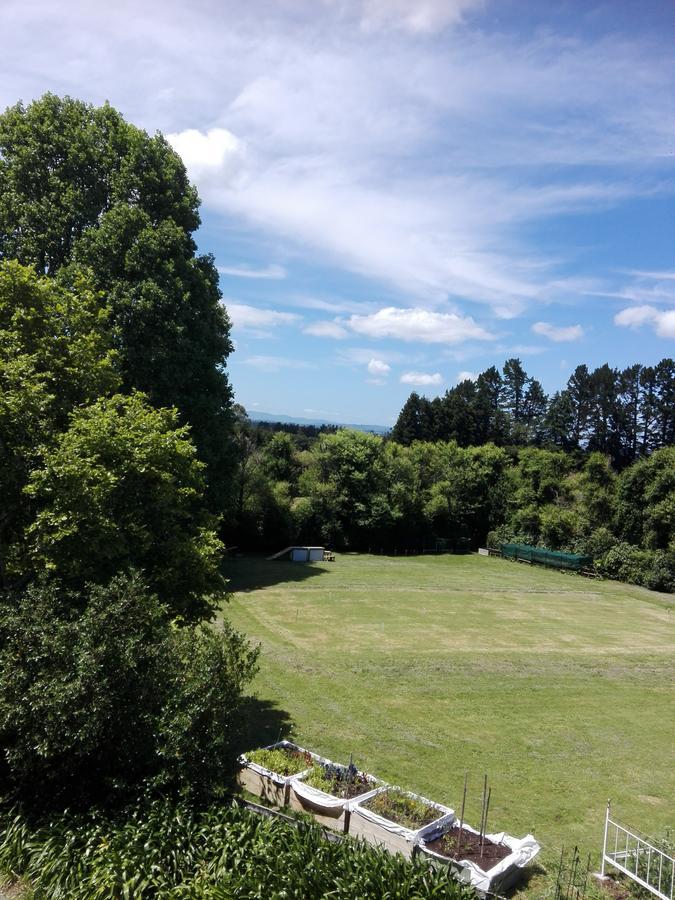 Purple Hen Country Lodge Katikati Bagian luar foto