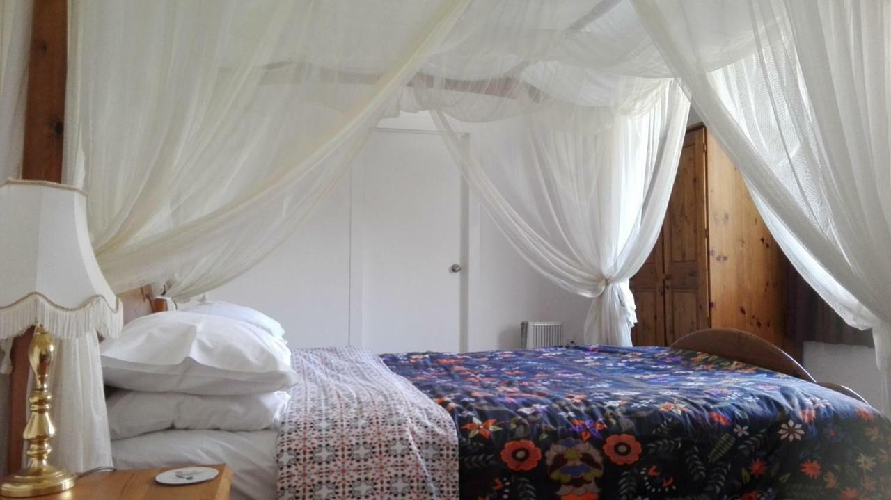 Purple Hen Country Lodge Katikati Bagian luar foto
